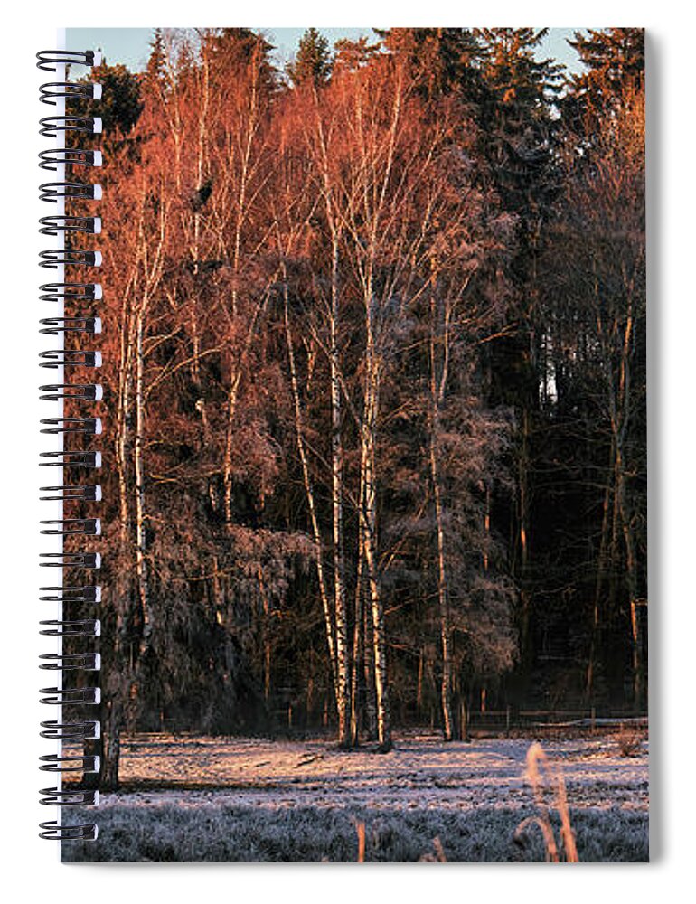 Light Spiral Notebook featuring the photograph Christmas light #i2 by Leif Sohlman