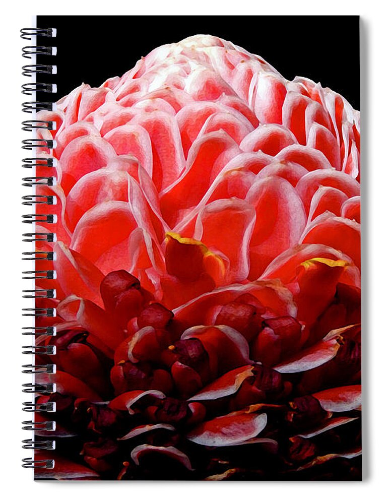 Cinnamon Flower Spiral Notebook featuring the digital art Cinnamon Flower by Gary Olsen-Hasek