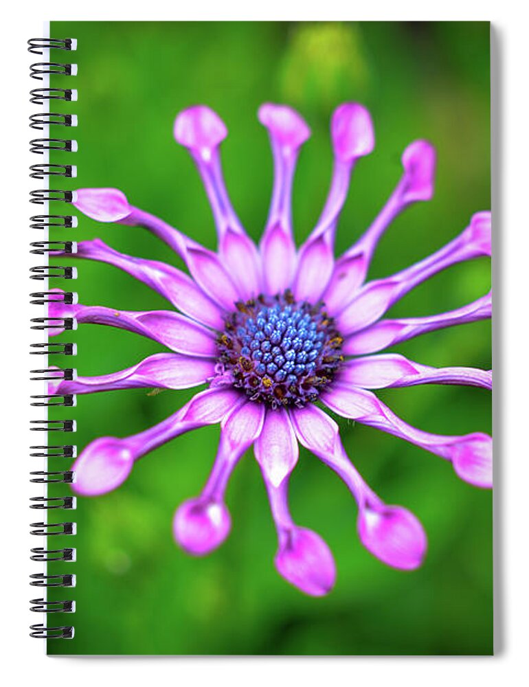 Flower Spiral Notebook featuring the photograph Circular by Michelle Wermuth