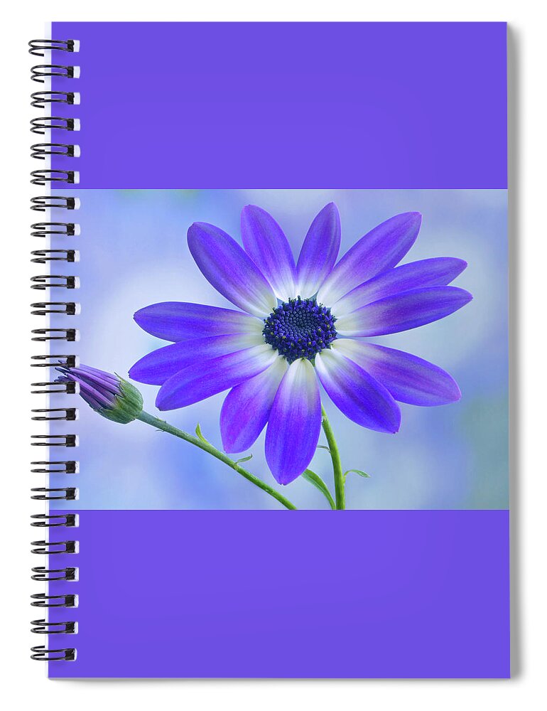 Senetti Spiral Notebook featuring the photograph Classic Senetti by Terence Davis