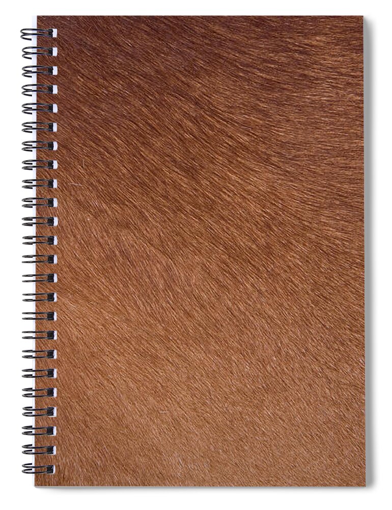 Animal Skin Spiral Notebook featuring the photograph Clean Brown Coat Of Hair On A Cow by Huseyintuncer