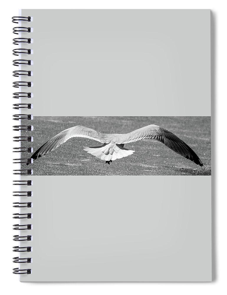 Gull Spiral Notebook featuring the photograph Clear For Takeoff by Phil S Addis