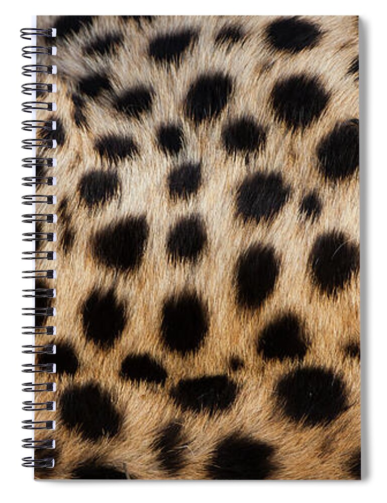 Vertebrate Spiral Notebook featuring the photograph Close-up Of Cheetah Spots On The by Mint Images - Art Wolfe