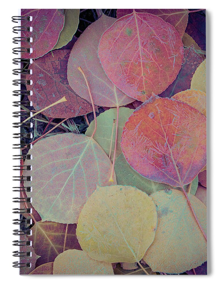 Aspen Leaf Spiral Notebook featuring the photograph Close-up Of Colorful Fallen Aspen by Karen Desjardin