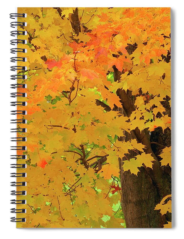 Outdoors Spiral Notebook featuring the photograph Close Up Of Maple Tree With Fall Foliage by Martin Ruegner