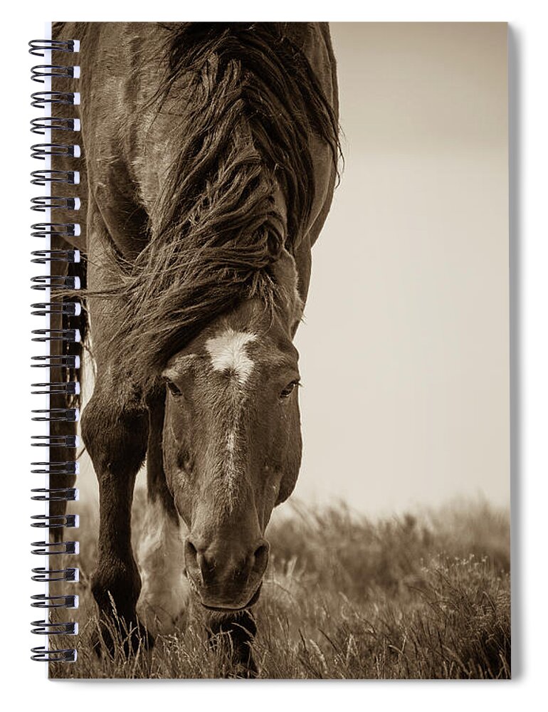 Wild Horses Spiral Notebook featuring the photograph Closer by Mary Hone