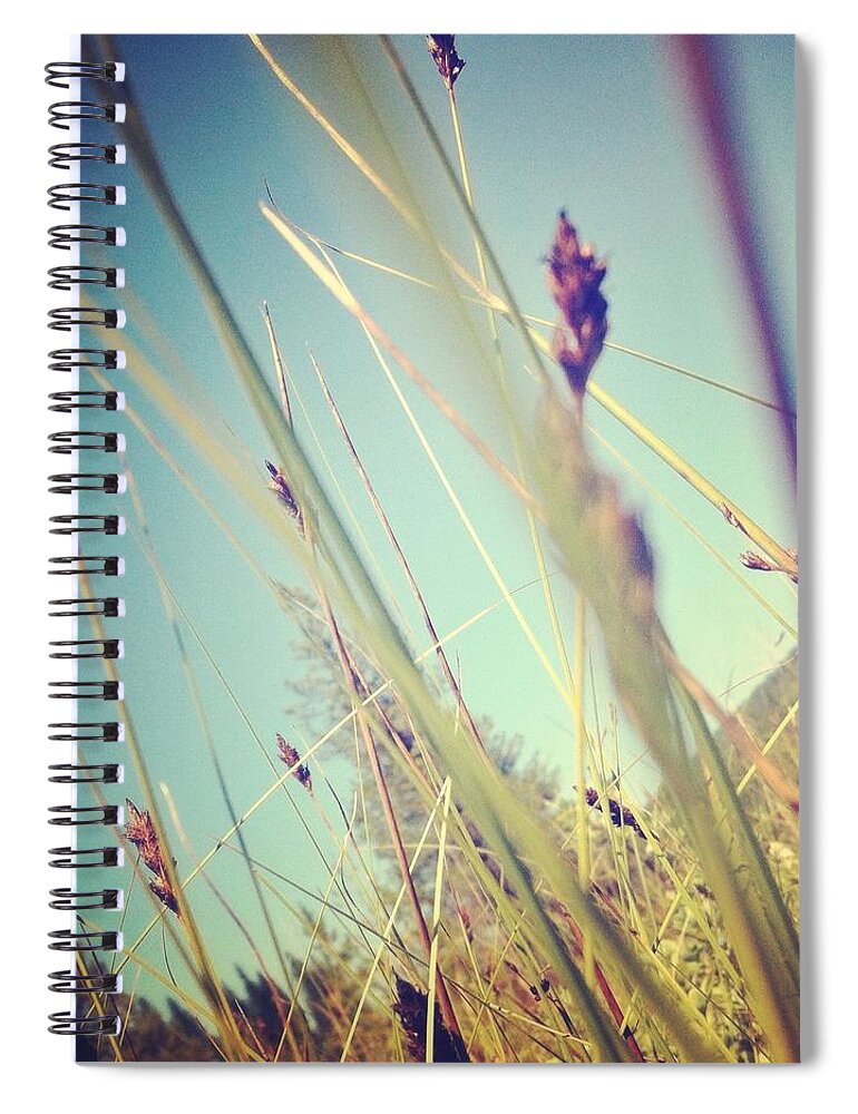 Saturated Color Spiral Notebook featuring the photograph Closeup Of Rushes by Andipantz