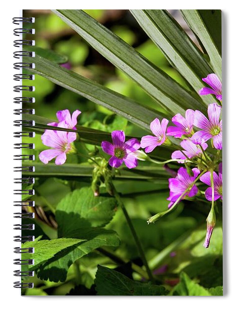 Florida Spiral Notebook featuring the photograph Clover in Palmetto a Florida Scene by T Lynn Dodsworth