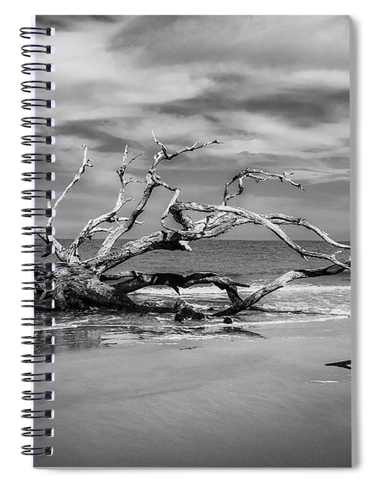 Comfortably Numb Art Spiral Notebook featuring the photograph Coastal Beauty by Phil Cappiali Jr