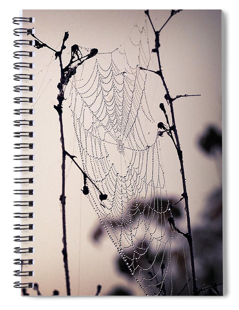 Pink Spiral Notebook featuring the photograph Cob Webbed by Michelle Wermuth