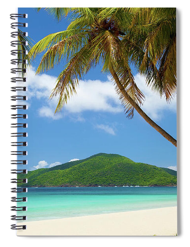Water's Edge Spiral Notebook featuring the photograph Coconut Palm Trees At A Tropical Beach by Cdwheatley