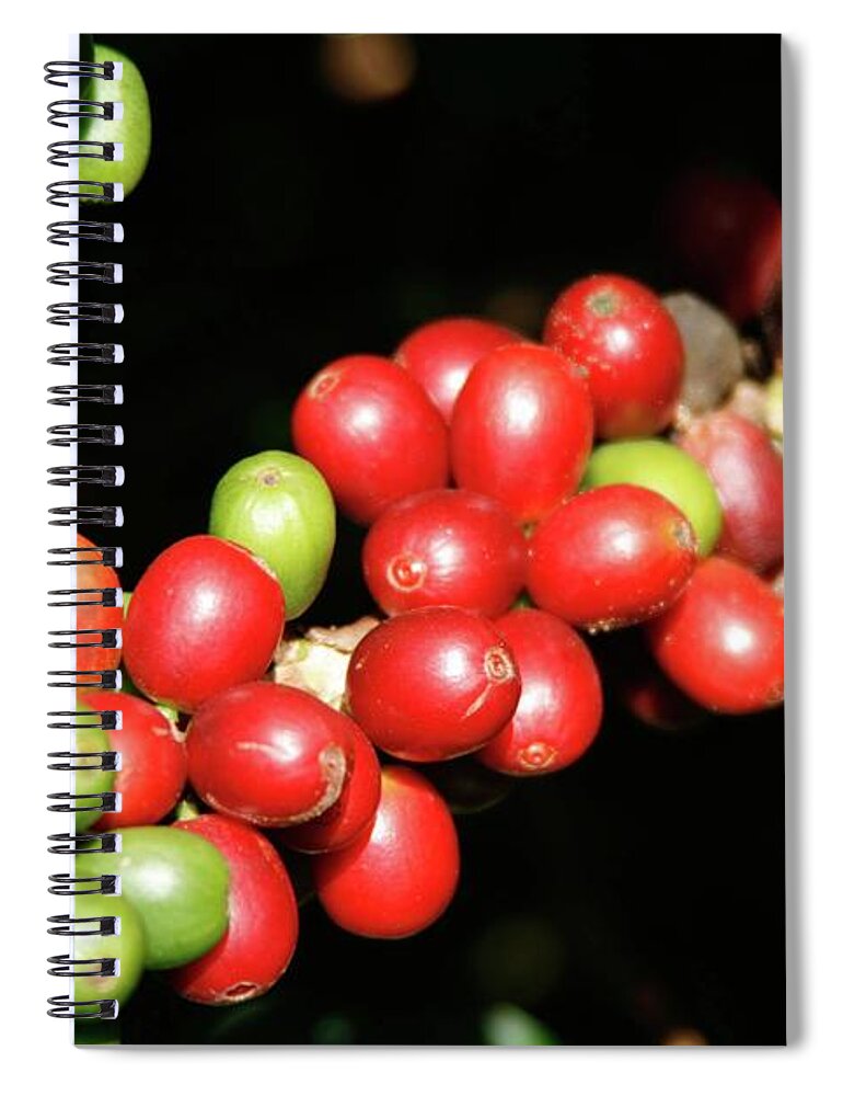 Outdoors Spiral Notebook featuring the photograph Coffee Beans by © Adriana Wuerkert