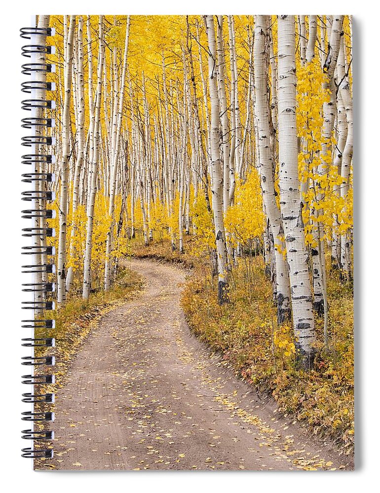 Aspen Spiral Notebook featuring the photograph Colorado Gold II by Rand Ningali
