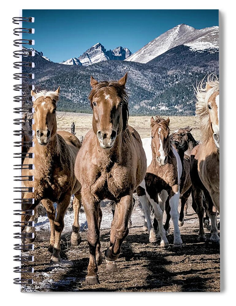 Horses Spiral Notebook featuring the photograph Colorado Horses by David Soldano