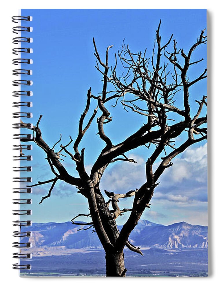 Colorado National Monument Colorado Blue Sky Red Rocks Clouds Trees Spiral Notebook featuring the photograph Colorado National Monument Colorado Blue Sky Red Rocks Clouds Trees 2 10212018 2842.jpg by David Frederick