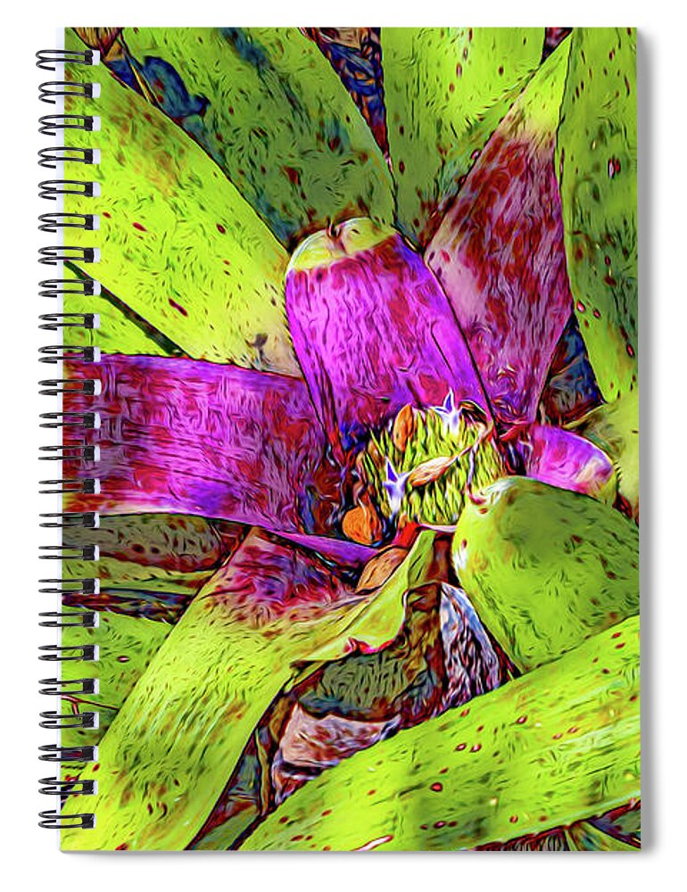 Gardens Spiral Notebook featuring the photograph Colorful Bromeliad by Roslyn Wilkins