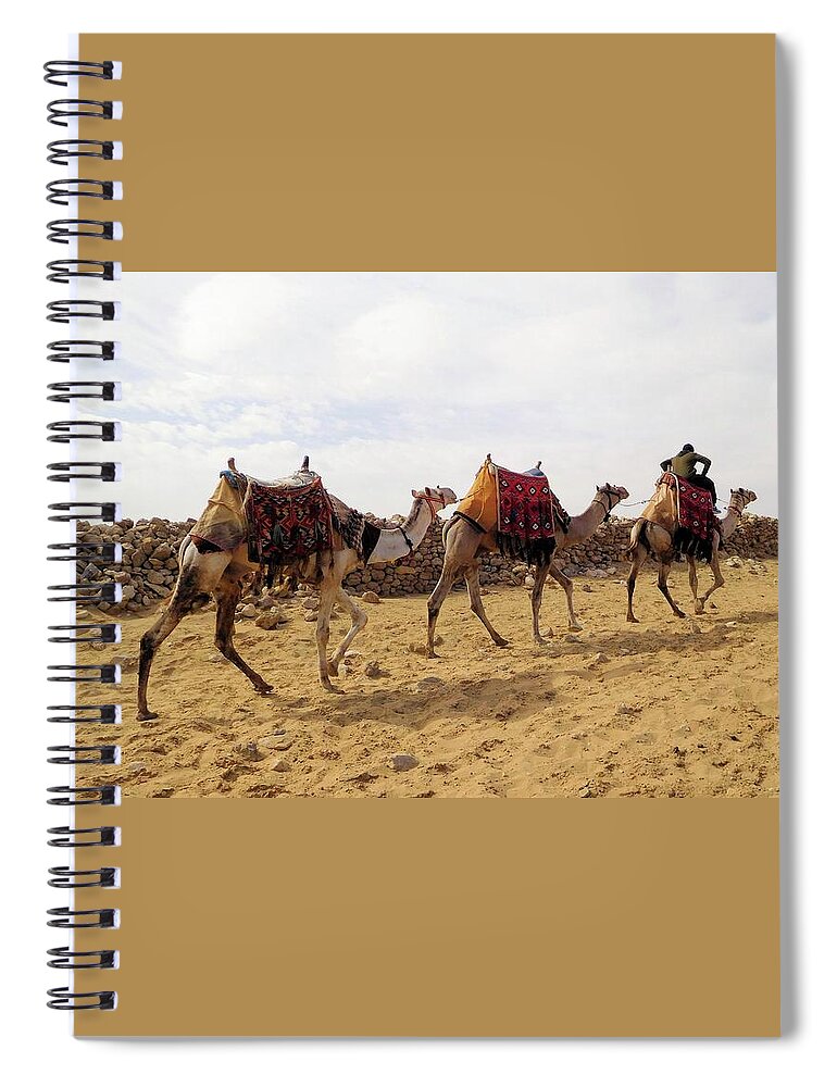 Travel Spiral Notebook featuring the photograph Colorful Camels by Karen Stansberry