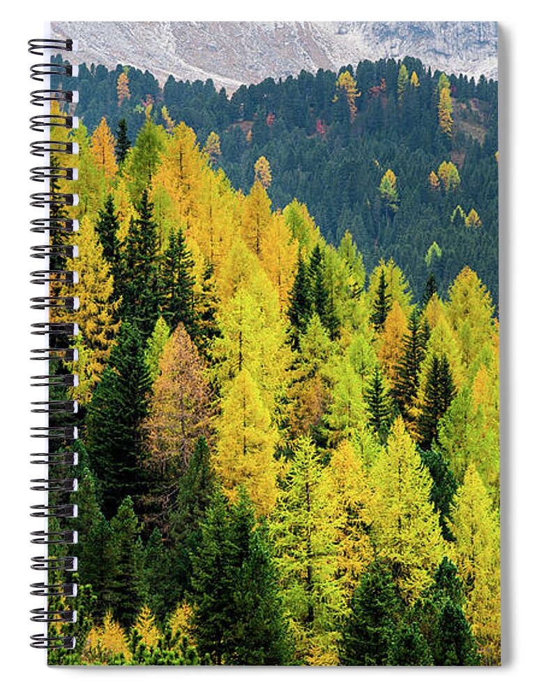 Dolomite Mountains Spiral Notebook featuring the photograph Yellow autumn trees in the forest by Michalakis Ppalis