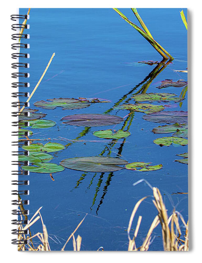 Savannah Spiral Notebook featuring the photograph Colorful Winter Lilypads by Douglas Wielfaert