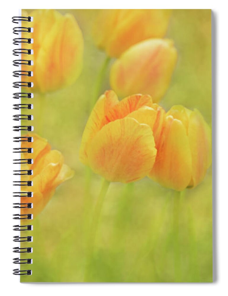 Flower Spiral Notebook featuring the photograph Colors of Spring #2 by Allin Sorenson