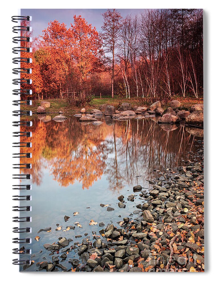 Rock Spiral Notebook featuring the photograph Colourful Forest Park by Sophie McAulay