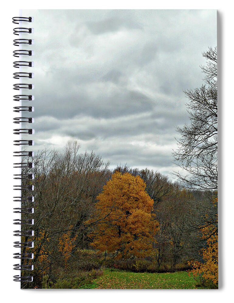 Colourful Point Spiral Notebook featuring the photograph Colourful point by Cyryn Fyrcyd