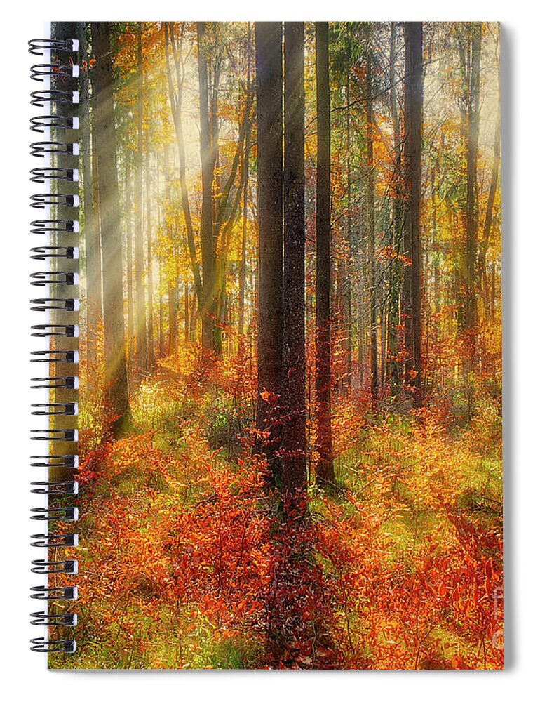 Nag005219 Spiral Notebook featuring the photograph Colours of Nature 02 by Edmund Nagele FRPS