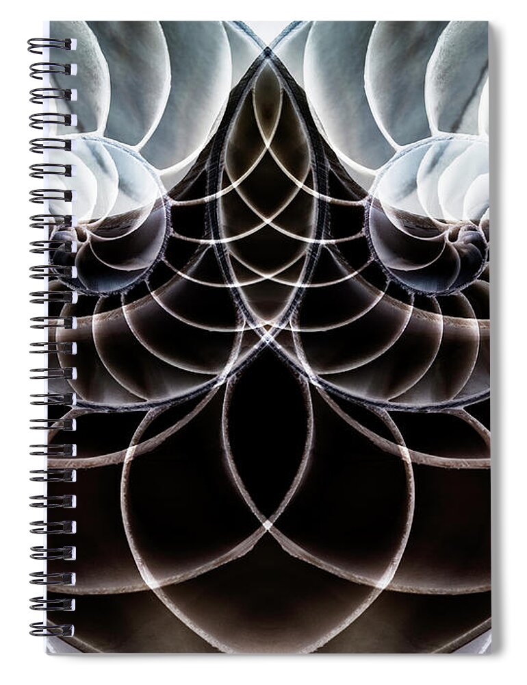 Full Frame Spiral Notebook featuring the photograph Composite Of A Cut Nautilus Conch To by Angel Herrero De Frutos