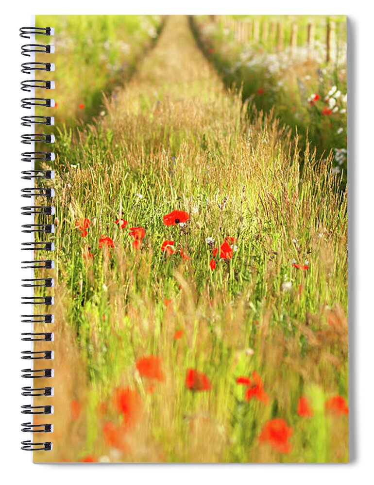 Converging Spiral Notebook featuring the photograph Converging tracks in a flower meadow by Simon Bratt