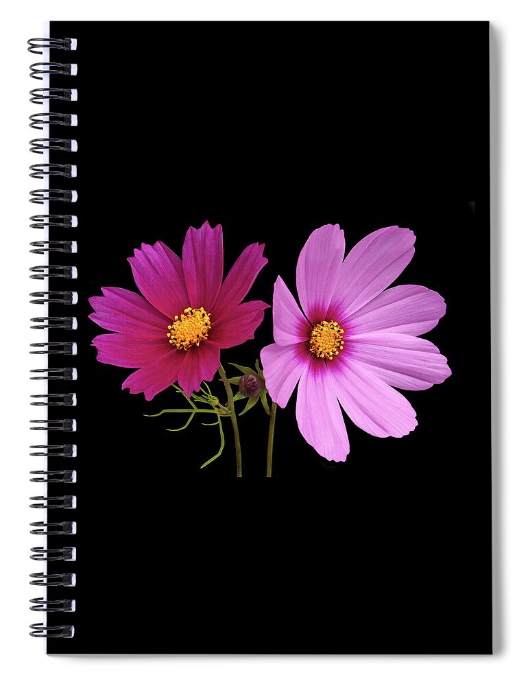 Cosmos Spiral Notebook featuring the photograph Cosmos Duet by Terence Davis