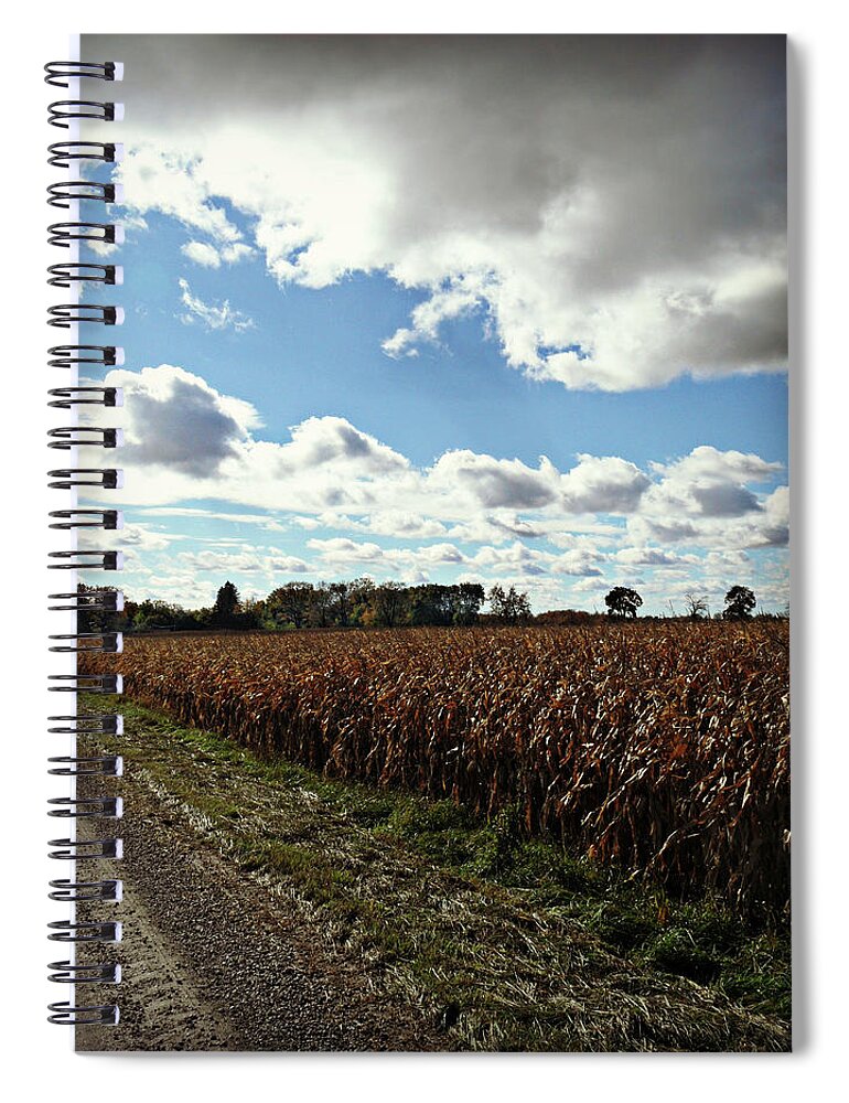 Country Autumn Curves Spiral Notebook featuring the photograph Country Autumn Curves 2 by Cyryn Fyrcyd
