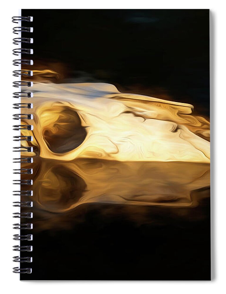 Kansas Spiral Notebook featuring the photograph Cow Skull 003 by Rob Graham
