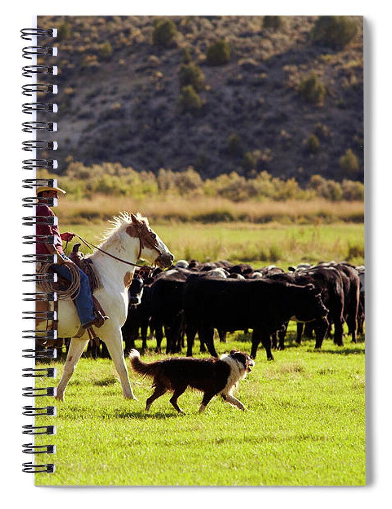 Horse Spiral Notebook featuring the photograph Cowboy Herding Cattle by John P Kelly