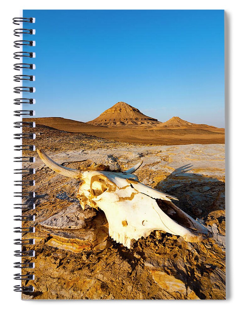 Horned Spiral Notebook featuring the photograph Cows Skull On Sand, Western Desert by Nico Tondini