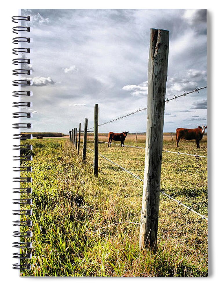 Animal Themes Spiral Notebook featuring the photograph Cows by Wendy Erlendson