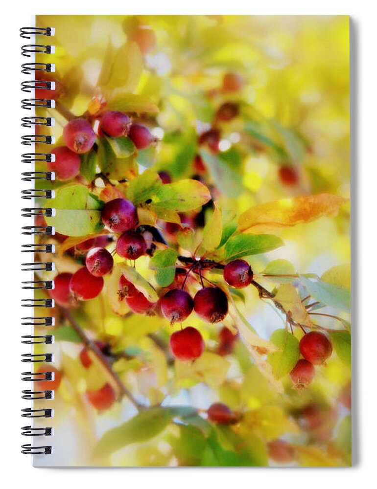Art Spiral Notebook featuring the photograph Crabapple Harvest by Joan Han