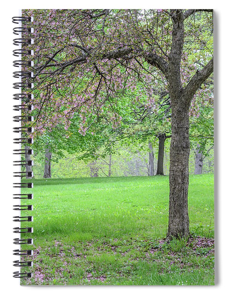 Crabapple Tree Spiral Notebook featuring the photograph Crabapple Tree in Spring by Tamara Becker