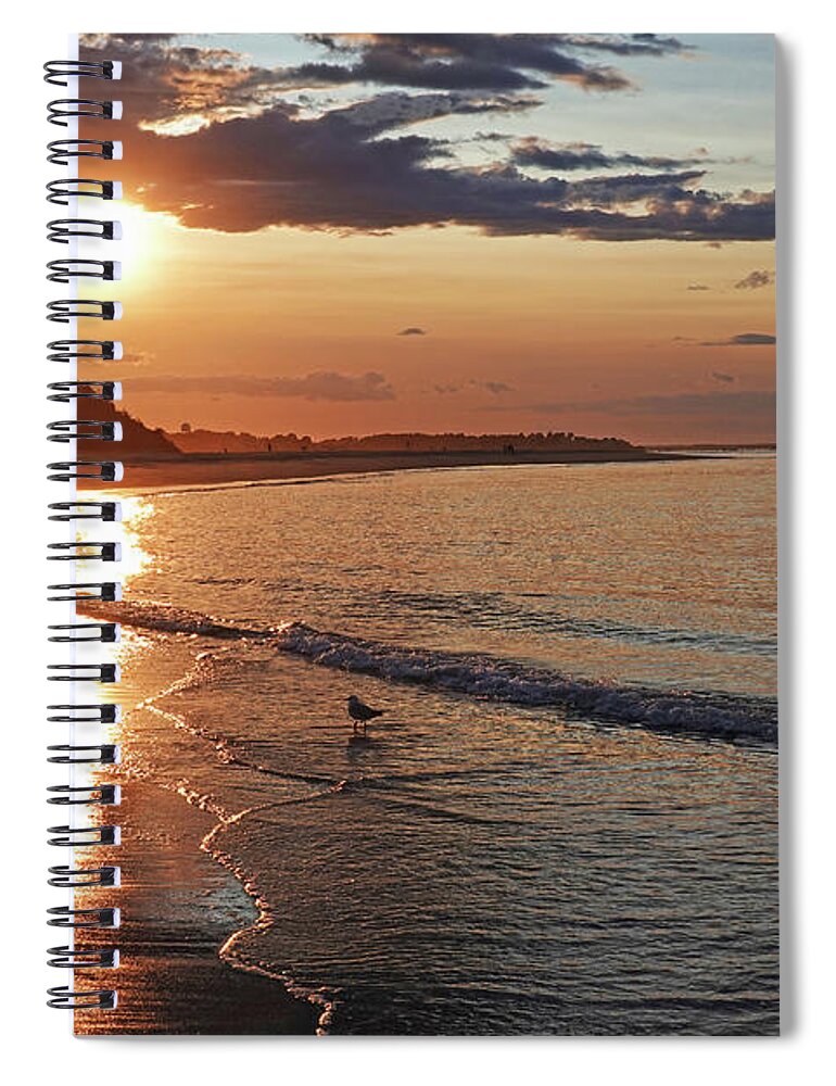 Ipswich Spiral Notebook featuring the photograph Crane Beach Sunset Ipswich MA Seagull by Toby McGuire