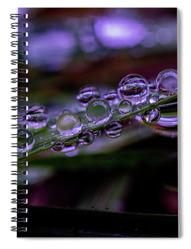 Rain Spiral Notebook featuring the photograph Crazy Raindrop Abstract by Linda Howes