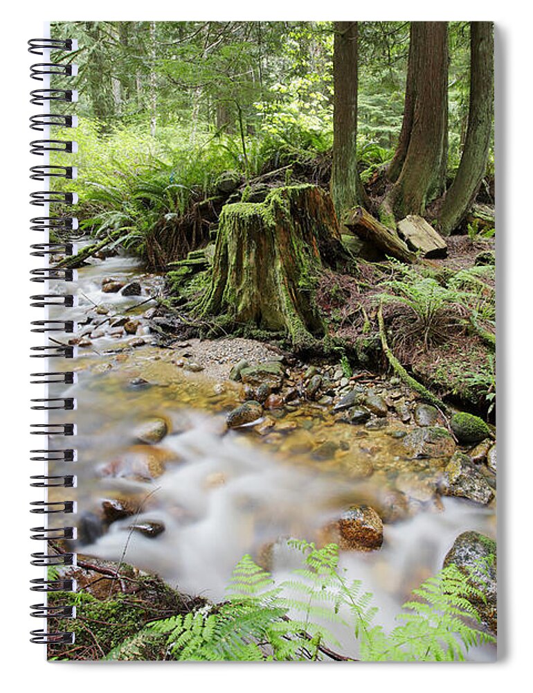 Scenics Spiral Notebook featuring the photograph Creek by Temmuzcan