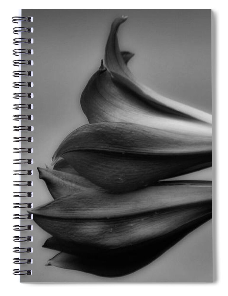 Plant Spiral Notebook featuring the photograph Crinum Lilies Black And White by Gaby Ethington