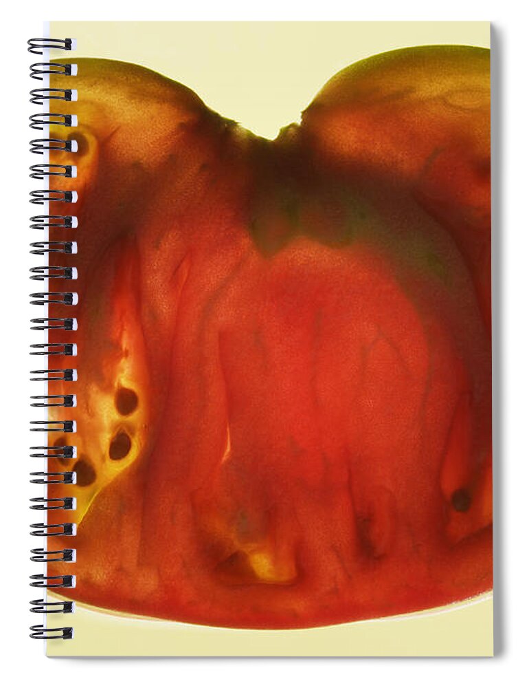 Transparent Spiral Notebook featuring the photograph Cross Section Of Tomato, Studio Shot by Paul Taylor