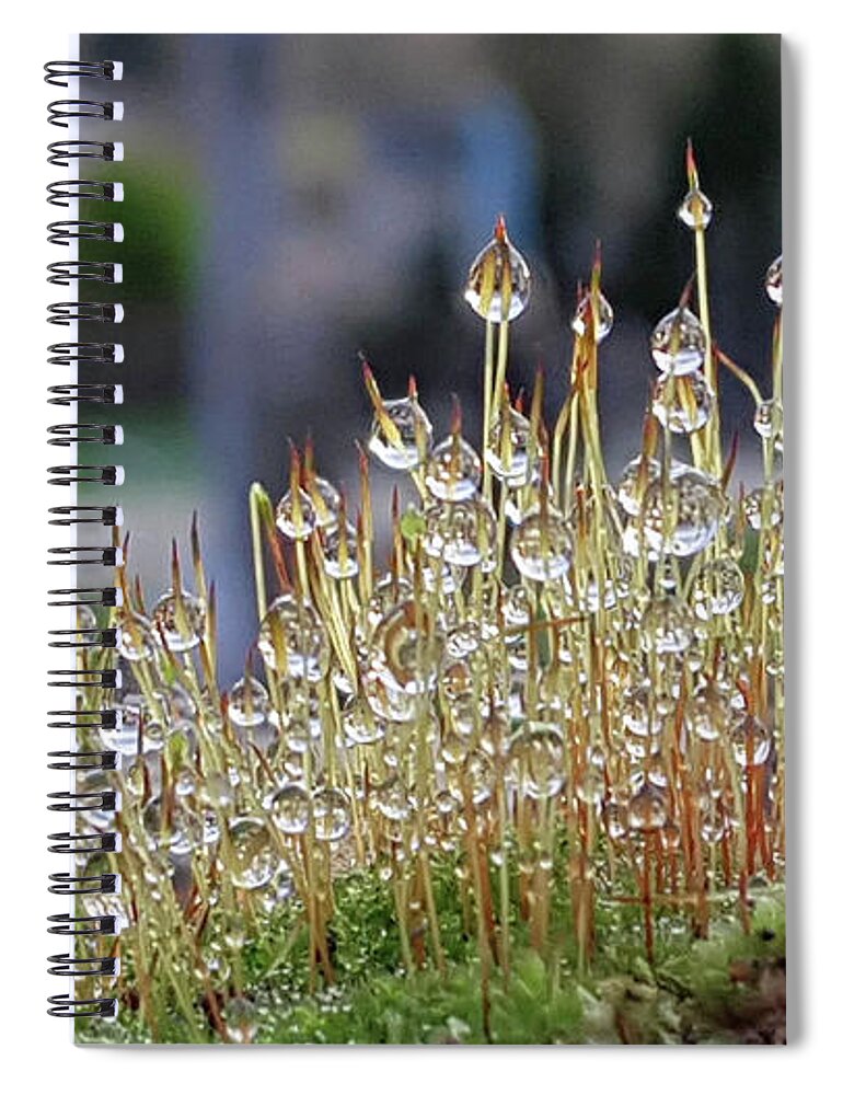 Dew Spiral Notebook featuring the photograph Crystal City by Joe Ormonde