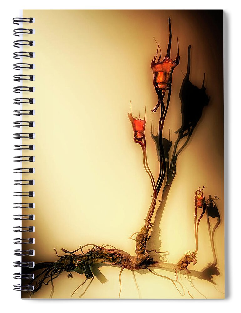Cultivation Spiral Notebook featuring the photograph Cultivation of bulbs by Micah Offman