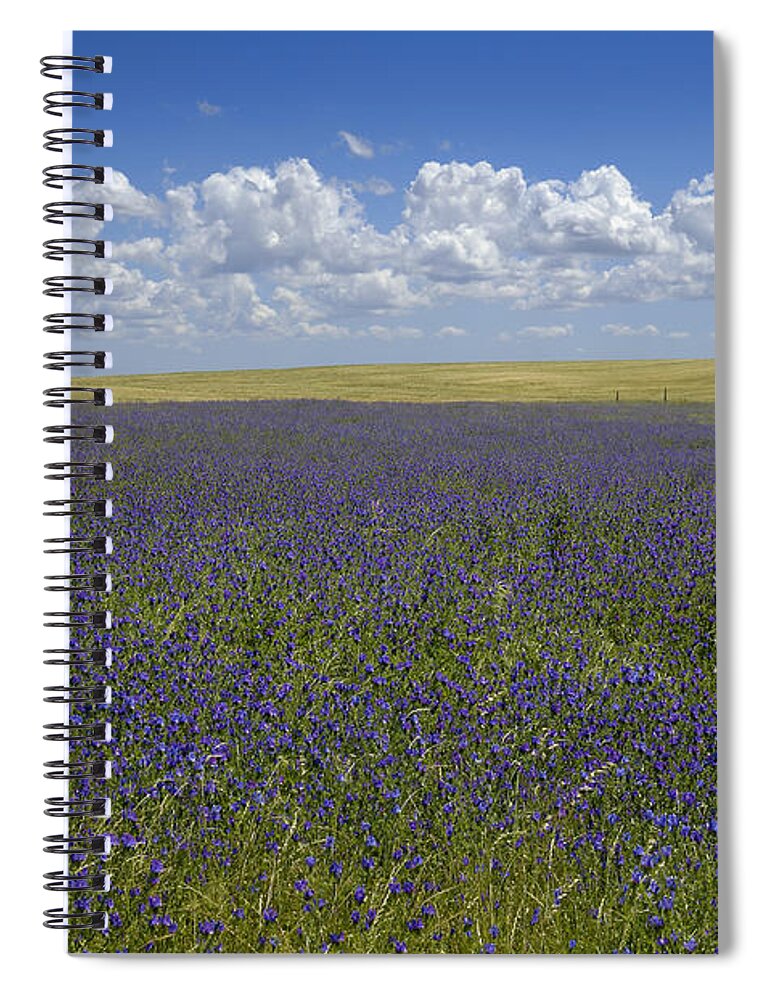 Scenics Spiral Notebook featuring the photograph Cumulus Floats In Blue Sky Over Field by Steve Corner