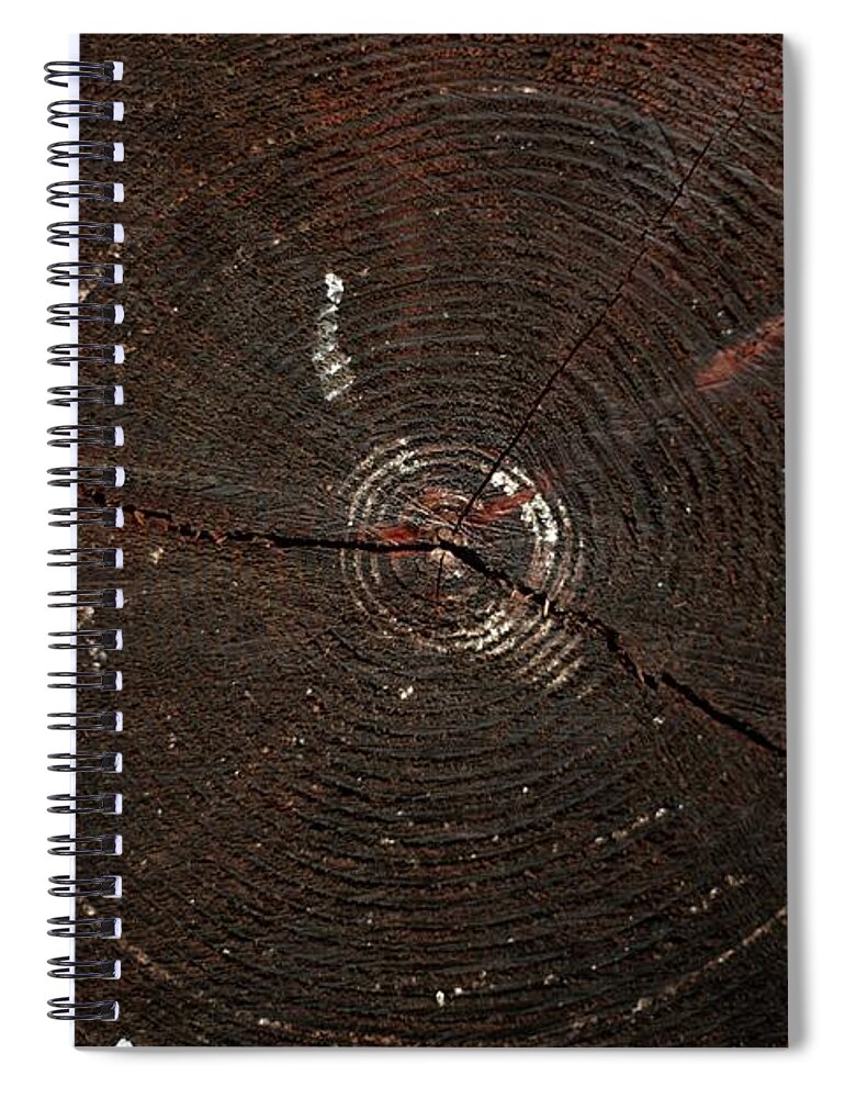 Aging Process Spiral Notebook featuring the photograph Cut Tree Trunk Revealing Annular Growth by Matt Niebuhr