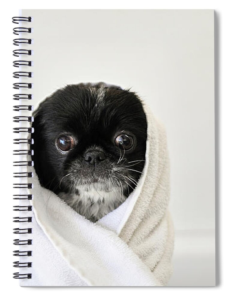 Pets Spiral Notebook featuring the photograph Cute Dog Wrapped by Emma Mayfield Photography