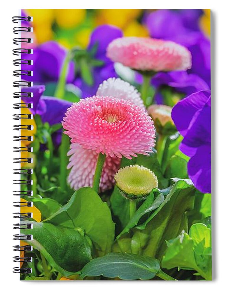 Cute Spiral Notebook featuring the photograph Cute Flowers by Top Wallpapers