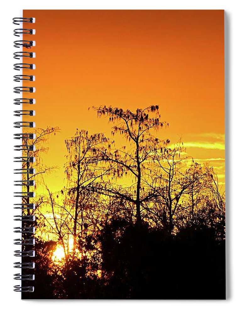 Airplane Spiral Notebook featuring the photograph Cypress Swamp Sunset 3 by Steve DaPonte