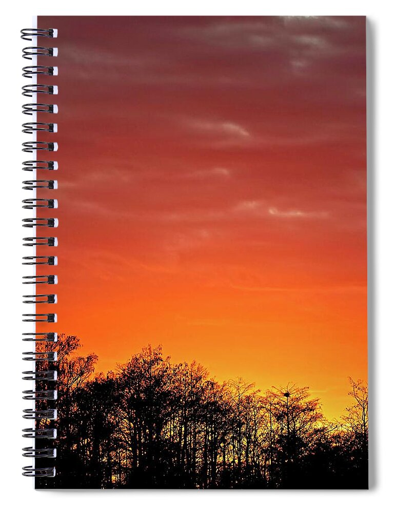 Swamp Spiral Notebook featuring the photograph Cypress Swamp Sunset 4 by Steve DaPonte